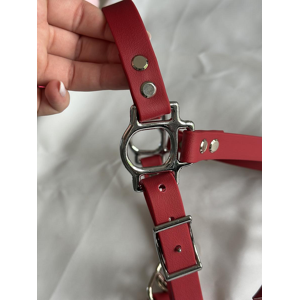 Licol sangle enduite bordeaux