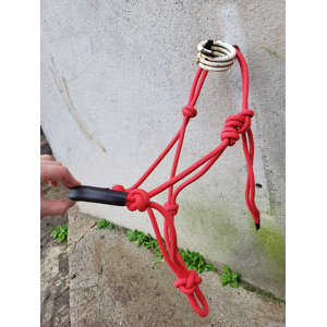 licol éthologique