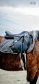 Selle d’obstacles bates 17,5 noire