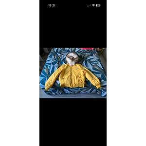 Blouson Pénélope (Bombers Lyon)