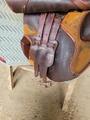Selle bates caprilli care