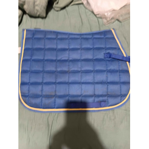 TAPIS