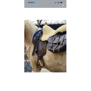 selle western