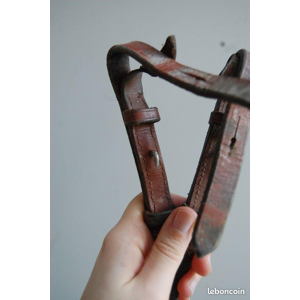 Rênes d'équitation taille poney