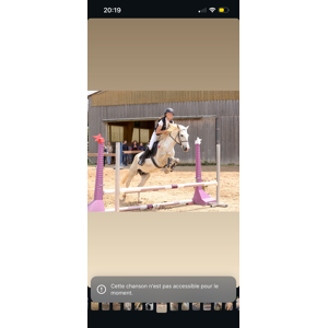 bombe equitheme
