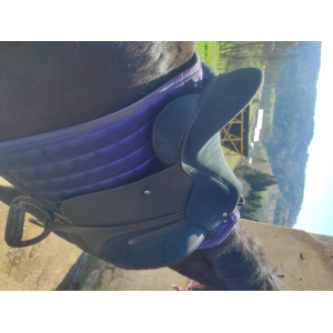 Selle wintec pro dressage