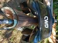 Selle CWD