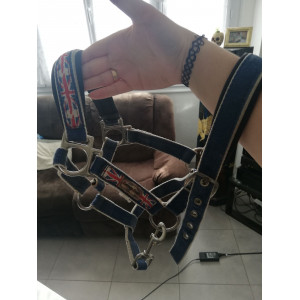 Licol marine shetland