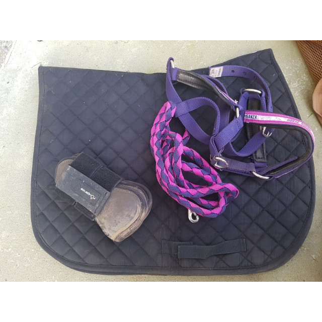 Tapis licol guêtre