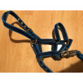 Licol taille shetland ou poulain