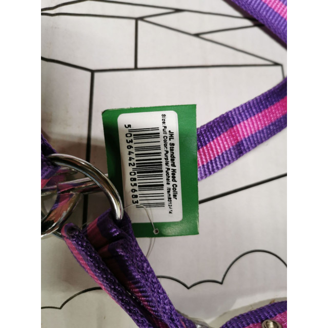 Licol simple violet/lilas