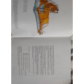 livre galop 5 à 7