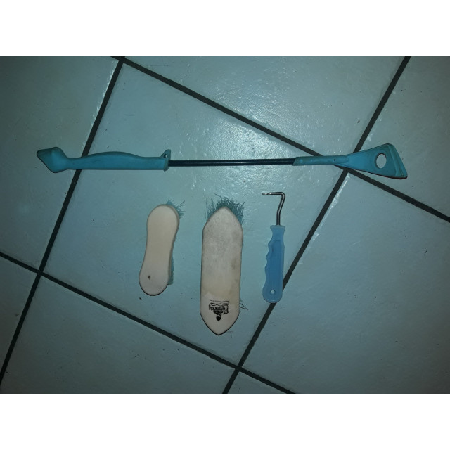 Kit de pansage + cravache
