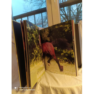 Livre sur les chevaux