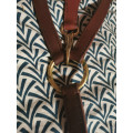 Collier de chasse avec sa martingale
