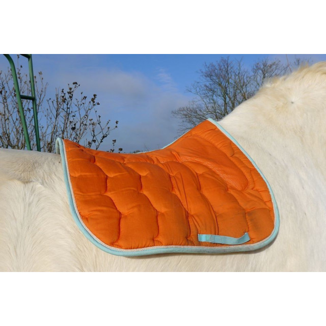 Tapis de dressage