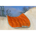 Tapis de dressage