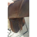 Selle cuir trainer's