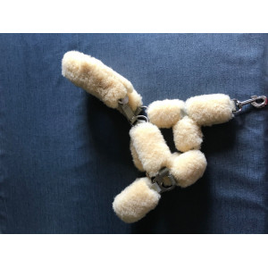 Licol Mouton Mattes
