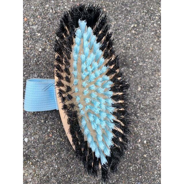 Lot de 5 brosses de pansage