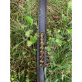Collier de chasse SCHOCKEMÖHLE