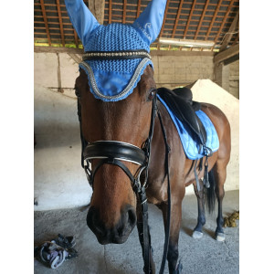 Selle de dressage