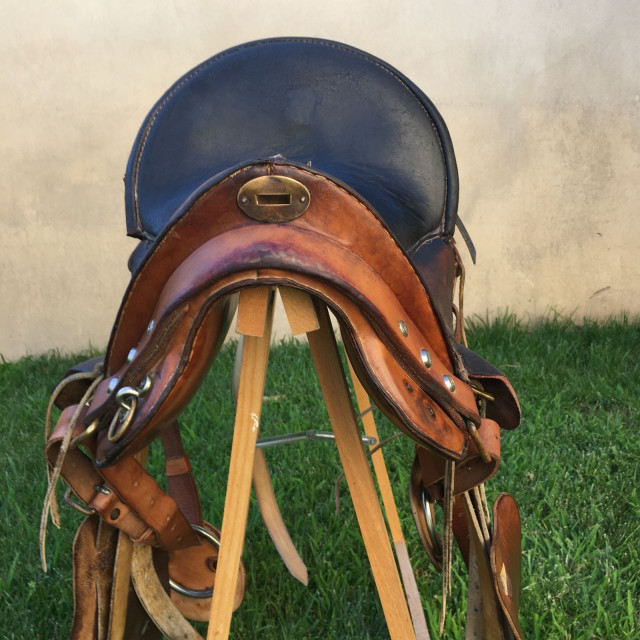 selle mac Lellan