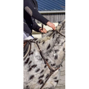 collier de chasse