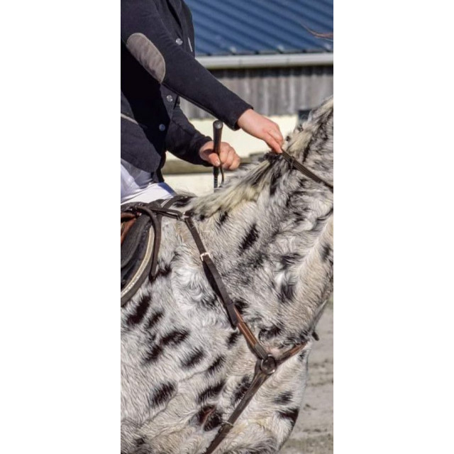 collier de chasse