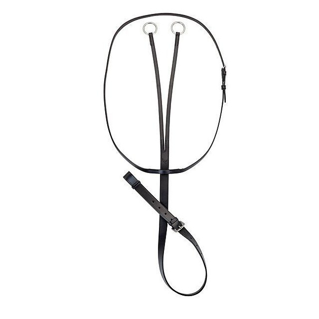 Martingale à anneaux