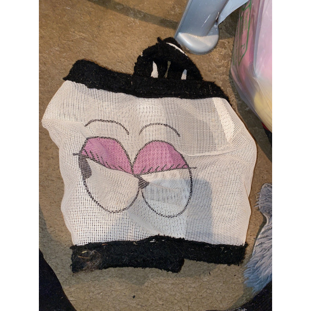 Masque anti mouche