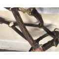 Licol cuir poney marron