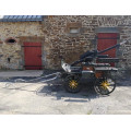 VOITURE D’ATTELAGE « Marathon alabam schelti »