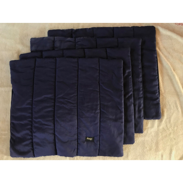 Coton américain Paddock Sport