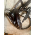Bridon Shockemohle