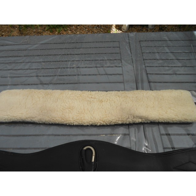 Mouton de sangle