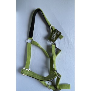 Licol Umbria vert