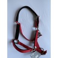 Licol Equestro rouge