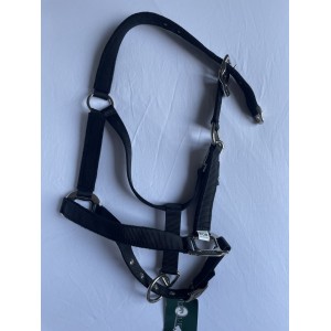 Licol Equestro noir