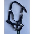 Licol Equestro noir