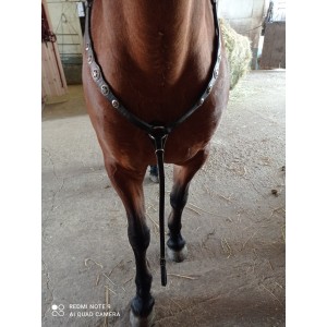 Collier de chasse