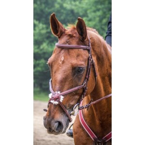 Bridon Time Rider croisé