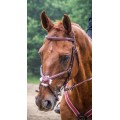 Bridon Time Rider croisé