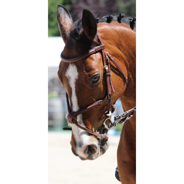 Bridon Time Rider croisé