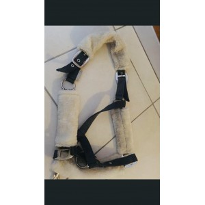 Licol avec mouton