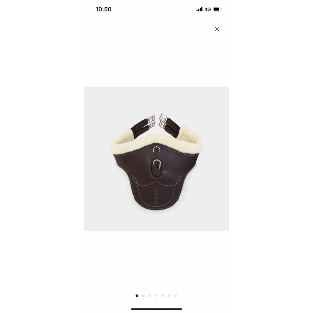 Bavette mouton kentucky 135