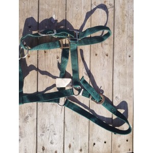 Licol vert en Nylon