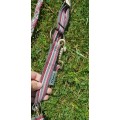 licol rose et gris