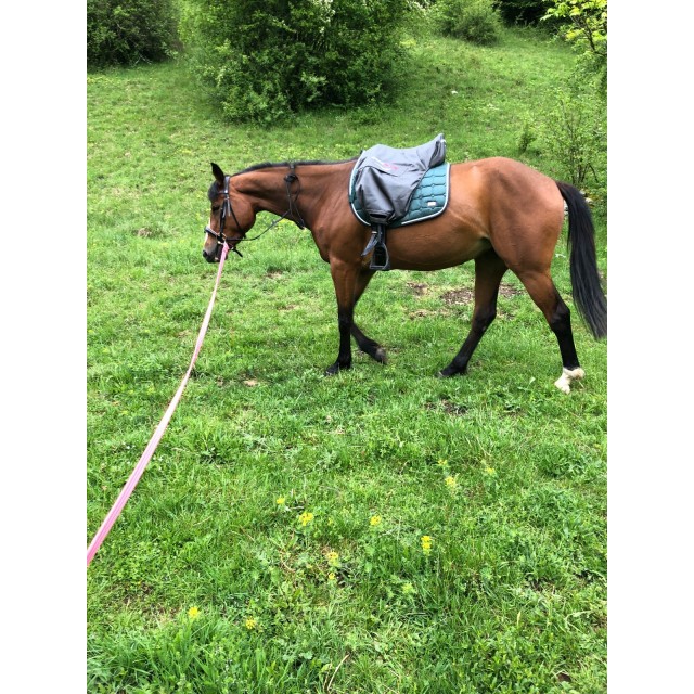 Selle dressage erreplus