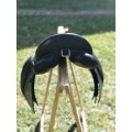 Selle apollo apprentissage noire